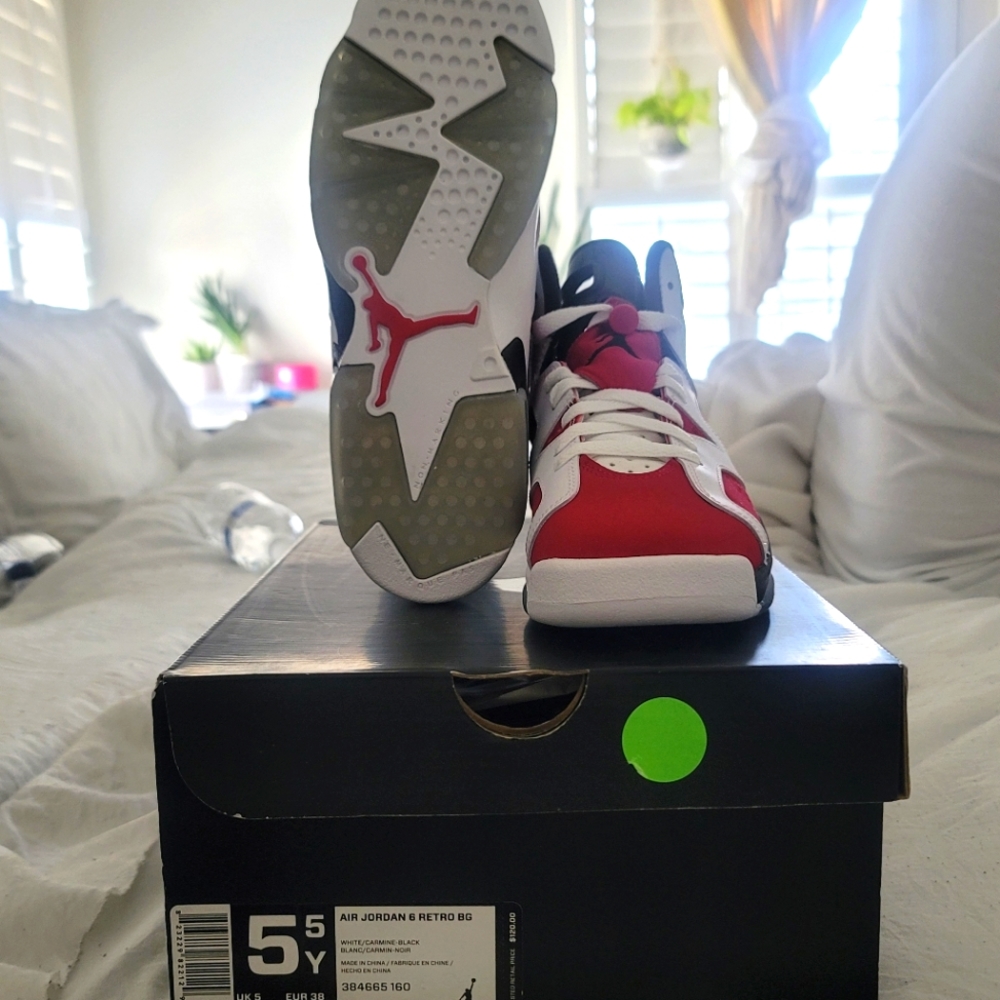 NEW -Air Jordan Retro 6 (2014) - Carmines (GS)